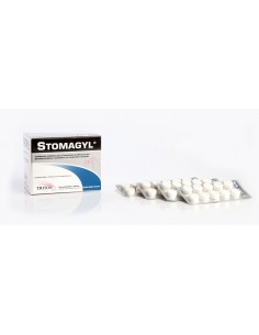 Stomagyl 100 comp.