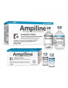 Ampiline Inyectable x 6 Viales