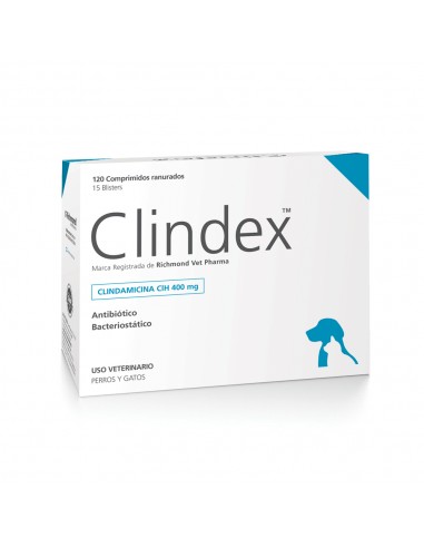 Clindex 400 mg. x 120 comp.