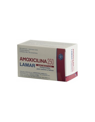 Amoxicilina 250mg. x 100 comp.