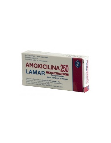 Amoxicilina 250mg x 10 comp.