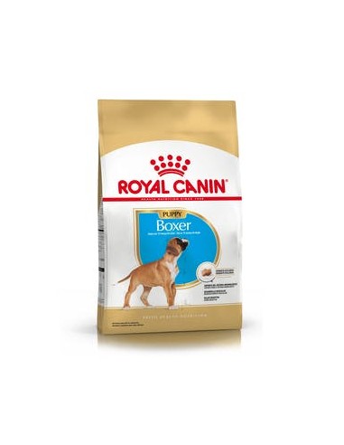 Royal Canin Dog Boxer Puppy x 12 Kg