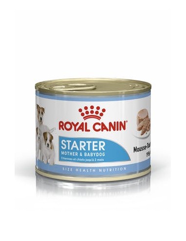 Royal Canin Dog Starter x 6 latas.