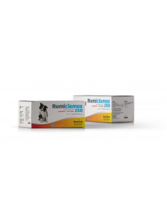Rumiclamox 250 mg. x 10 comp.