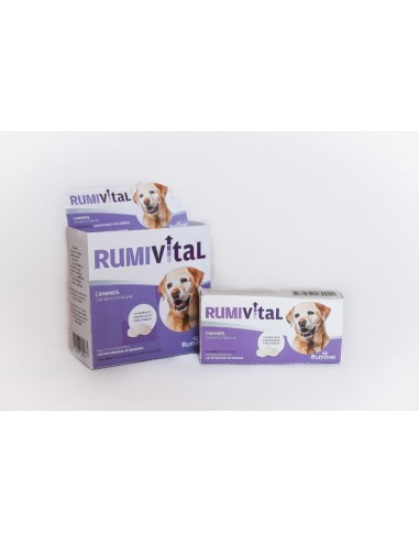Rumivital Canino x 100 comp.
