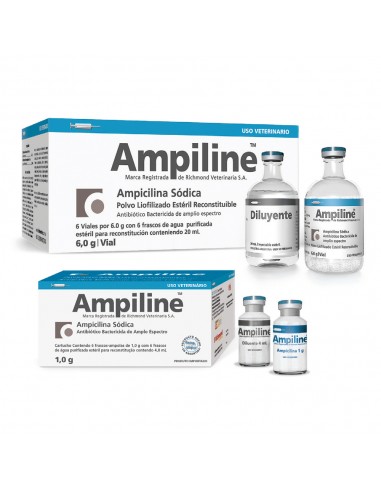Ampiline Inyectable x 1 Vial