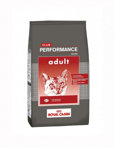 Performance Cat Adult x 1,5 Kg