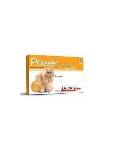 Power Spot On para Gatos 4  a 8 kg