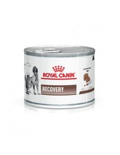 Alimento Balanceado para Perros y Gatos Húmedo Royal Canin Recovery 195 Grs x 12 Latas